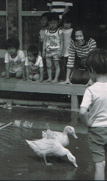 アヒルの水浴び