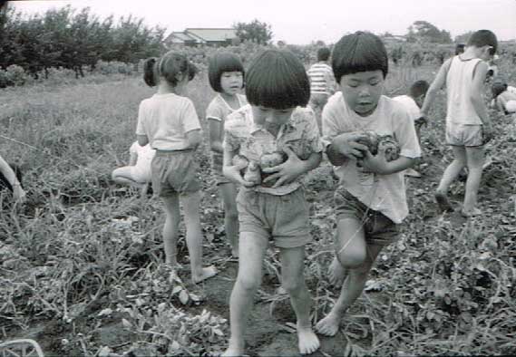 芋掘りをする子ども